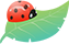 3c78be590faf778da9c0acab00ba980f.jpg