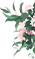a406b200ed1e09ad6cfa1173e03cc167.jpg