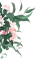 9320e98abc485a99fa41ba390c864a2a.jpg